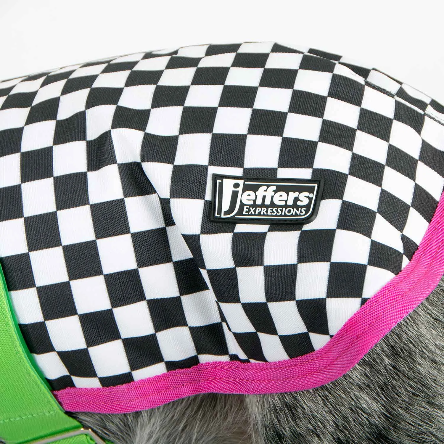 In Stock Now! Jeffers Expression Dog Coat, Skater Pup